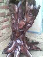 Tunggak Kayu Face Art.jpeg